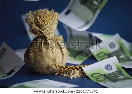 World grain crisis. A handful of cereals and euro banknotes on blue background.