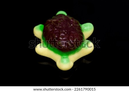Colorful Fruity Gummy Candy. Jelly candies in the form of turtles