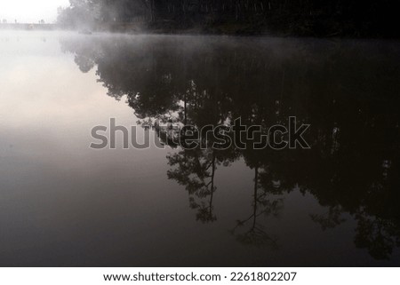 reflection of trees in water, The darkness in the early morning, the faint mist made it hard to see.