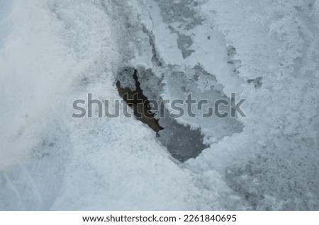 Unique Pattern of the Frozen River Running Through a Park