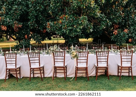 Decor of a wedding table for dinner in Tuscany in the summer in the garden under a magnolia tree. Rustic elegant wedding decor with natural flowers, olives and white candles