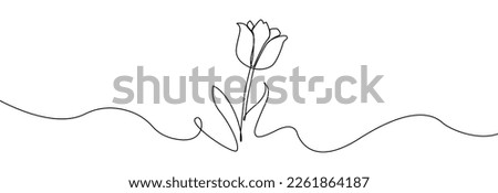 Tulip one line drawing.Abstract flower continuous line. Minimalist contour drawing of tulip. Continuous line drawing of flower tulip.Hand drawn sketch of flower with leaves. Royalty-Free Stock Photo #2261864187