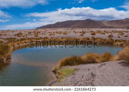 Lagoon in Salar de Antofalla, Antofagasta de la Sierra, Catamarca, Argentina Royalty-Free Stock Photo #2261864273