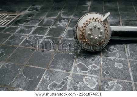 Silver shower head with limescales that should be cleaned and mold on tiles. Calcified shower due to hard water. Calcium mineral buildup. Royalty-Free Stock Photo #2261874651