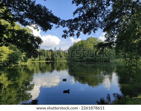 Mislakovice, Poland: beautiful sunny day at the lake in Palace Park (Polish: Mysłakowice). Nature scenery trees reflection on lake against blue sky Royalty-Free Stock Photo #2261878611