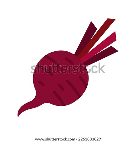 Beet or beets beetroot vegetable or radish icon. Vector illustration Royalty-Free Stock Photo #2261883829