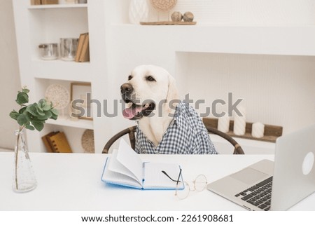 a dog in a shirt works at a computer and makes notes in a notebook. A dog in the form of a programmer or director works in an oise at a table. High quality photo