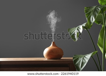 Air humidifier on chest of drawers near green houseplant against grey wall Royalty-Free Stock Photo #2261940119