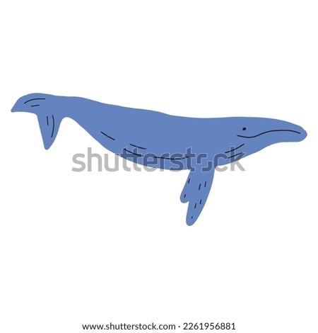 Whale, ocean aniaml. Sealife in Scandinavian style on a white background. Great for poster, card, apparel print. Vector illustration