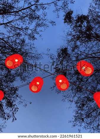 Beautiful Red Lampion Lantern Rabbits Chinese New Year's under the evening blue sky and beautiful tree Branches