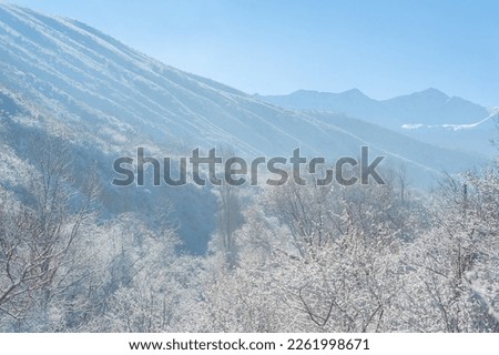 The mountains. Winter. Where you can enjoy the winter idyll in peace and quiet. Only in my photos. A secluded place overlooking the landscapes - ideal conditions for a carefree holiday.