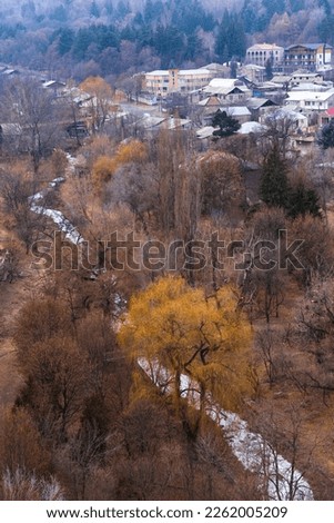 Foggy winter landscape with mountains, trees and buildings