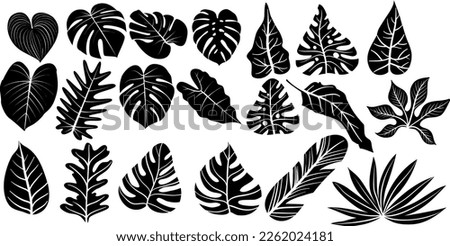 Tropical leaves vector herbal clipart digital