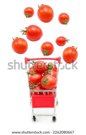 Supermarket shopping cart with ripe fresh tomatoes with tomatoes flying into it isolated on white background. Organic and environmentally friendly vegetables.	