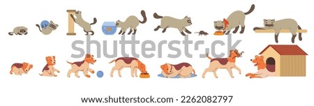 Pets growth stages set. Cute fluffy cat and dog at different ages. Kitten and puppy play, sleep, eat and rest. Cute animals stickers. Cartoon flat vector collection isolated on white background