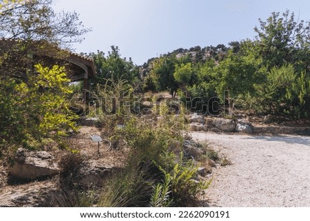 Botanical Garden Baths of Aphrodite in Akamas National Forest on the Akamas Peninsula, Paphos District in Cyprus Royalty-Free Stock Photo #2262090191