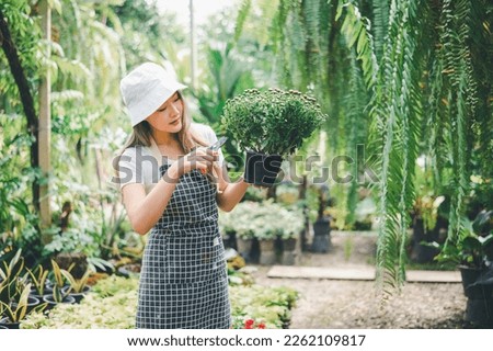 Young women doing hobbies taking care of plants, watering, shoveling flowers. In the garden during the break from work