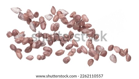 Boiled peanut fly explosion, boiled peanut bean fall down pour mix inside peel off. Tropical boiled peanut throw in air. White background Isolated high speed shutter, freeze action