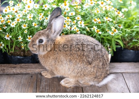 Healthy lovely bunny easter rabbit on green garden with beautiful flowers nature background on summer day. Cute fluffy rabbit sniffing with basket of corn and carrots. Symbol of easter day.