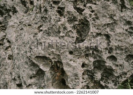 picture of porous volcanic rock texture, background.