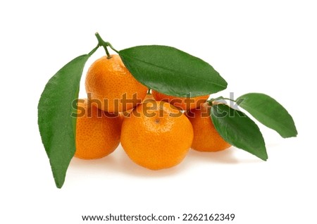 Fresh oranges on white background.