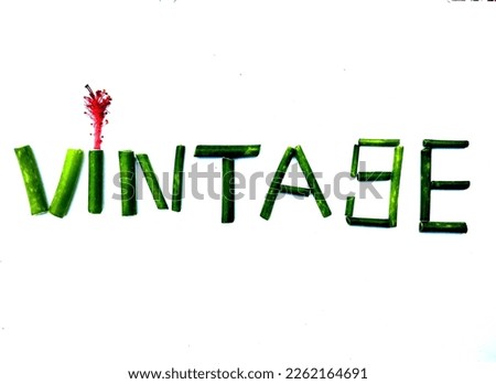 Close up vintage font vegetable leaves and flower bud set perfect design on the white background.