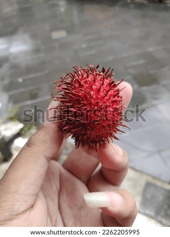 Fresh and ripe rambutan sweet tropical fruit peeled rambutan with leaves, Rambutan fruit on basket and wooden background harvest from the garden