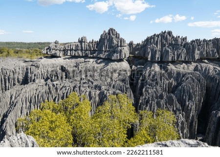 Tsingy de Bemaraha National Park. The Great Tsingy, Bekopaka, Madagascar. View of the limestone sharp rocks.  Royalty-Free Stock Photo #2262211581