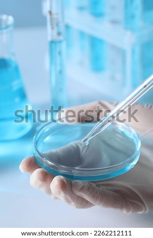 Scientist dripping liquid from pipette into petri dish in laboratory, closeup Royalty-Free Stock Photo #2262212111
