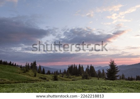 Hillside with spruce trees landscape photo. Beautiful nature scenery photography with sunset sky on background. Ambient light. High quality picture for wallpaper, travel blog, magazine, article