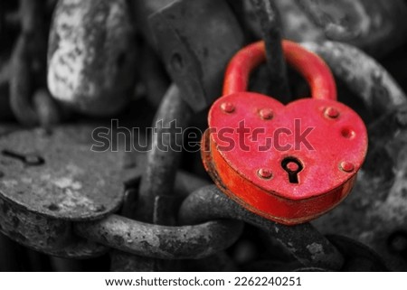 locks in the shape of a heart attached to a metal hedge. symbol of eternal love