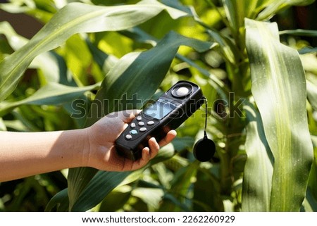 Light meter, Lux Light Meter in hand while measuring light intensity quantity and the brightness of the light suitable for the tree. soft and selective focus.                                Royalty-Free Stock Photo #2262260929