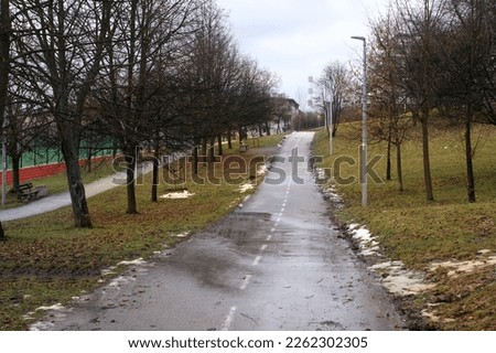 Bare trees with bicycle road in Park - February , winter with little snowfall - snow has recently melted - warming , road suitable for driving