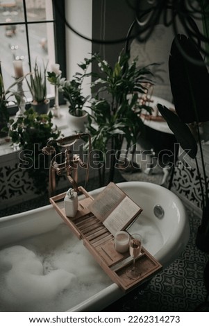 Native hues organic shapes look of bathroom with big window oval bathtub in neutrals earth tones. Green palm plants candles bubblebath leasure and relaxation skin selfcare wellness luxury living Royalty-Free Stock Photo #2262314273
