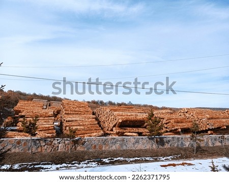 cartoon timber.wood log and trunk,stump and plank. wooden firewood logs. hardwoods construction materials