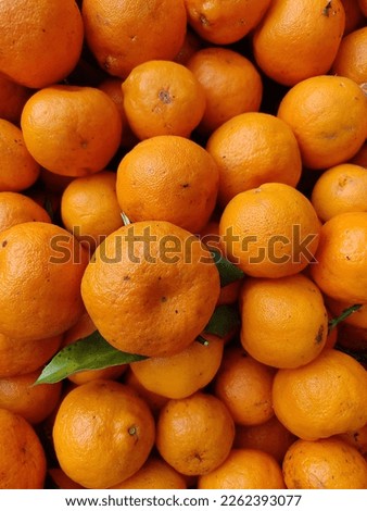 lots of orange fruit harvested from garden