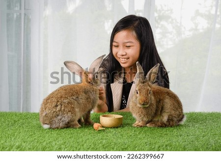 young cute bunny being taken care by a cheerful asian girl,selective focus at the rabbits                              