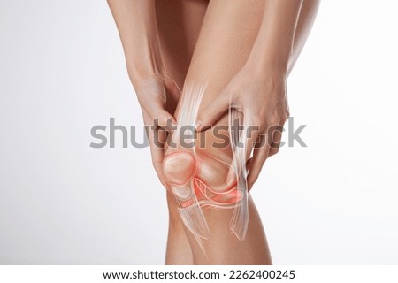 Knee ligament and meniscus, human leg, medically accurate representation of an arthritic knee joint Royalty-Free Stock Photo #2262400245