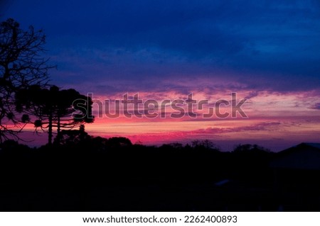 Sunset with pink, rose, lilac and blue colors in the sky. Trees in the horizon, with shadow of Araucaria angustifolia, typical tree of the state of Paraná, Brazil
Low key picture, Copy space