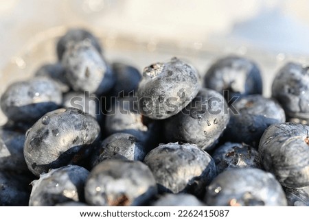 Fresh blueberry background. Texture blueberry berries close up. Blueberries in the form of a full-screen texture.