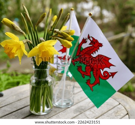St David's Day daffodil and welsh flag display - national symbols of Wales. Cefnogi Cymru Support Wales. Dydd Gwyl Dewi St David’s Day Royalty-Free Stock Photo #2262423151