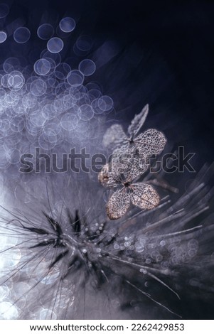 Dried flowers of bouquet hydrangea. Autumn compositions. Decorations with flowers and dew drops. Pictures on the wall. Artistic photos of nature. Pictures from analog lenses.