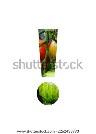 exclamation mark of the alphabet made with a bunch of tomatoes, yellow unripe and red ripe tomatoes, isolated on a white background