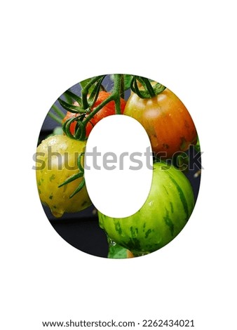 Letter O of the alphabet made with a bunch of tomatoes, yellow unripe and red ripe tomatoes, isolated on a white background
