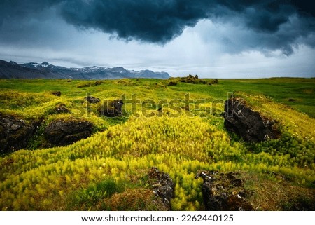 Majestic Icelandic spaces and green moss on the rocks. Location place Snafellsnes peninsula, Iceland, Europe. picturesque picture of wild area. Explore world landmarks. Discover the beauty of earth.