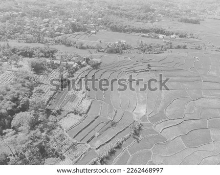 Black and white photo of an aerial view of a rice field in the middle of a village settlement in the Cikancung area - Indonesia.