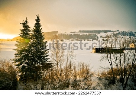 Winter wonderland in snowy Germany