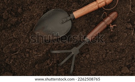 Metal garden tools with wooden handles on the ground close-up. Top view