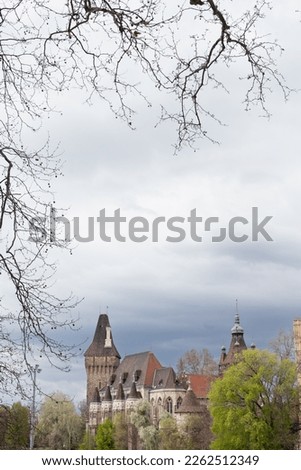 Gothic castle view with tree branches background