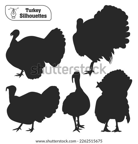 Vector collection of animal turkey silhouette in different poses